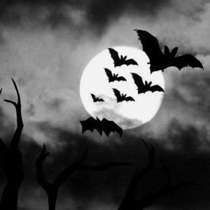 Meet your Posher, Maricela